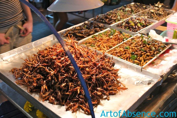 Deep Fried Bugs For Sale on Koh San Road